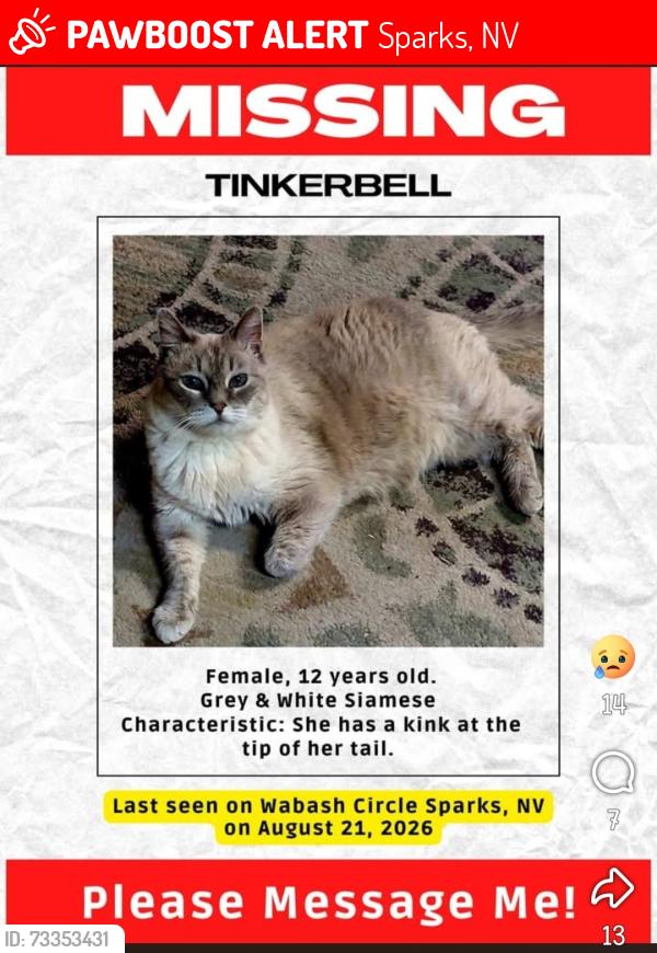 Lost Female Cat last seen Prater way Wabash Circle, Sparks, NV 89434