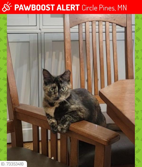 Lost Female Cat last seen Forest Drive, Circle Pines, MN 55014