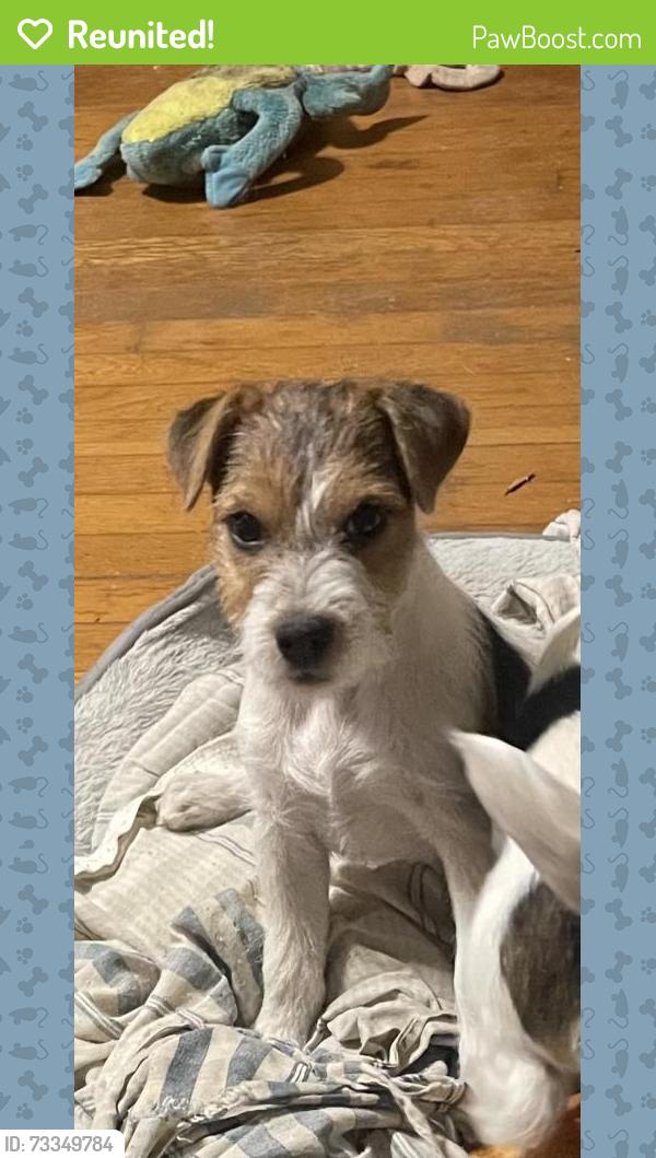 Reunited Female Dog last seen Crowders mountain golf course, Gastonia, NC 28052