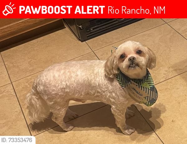 Lost Male Dog last seen Parr/Littler Drive, Rio Rancho, NM 87124