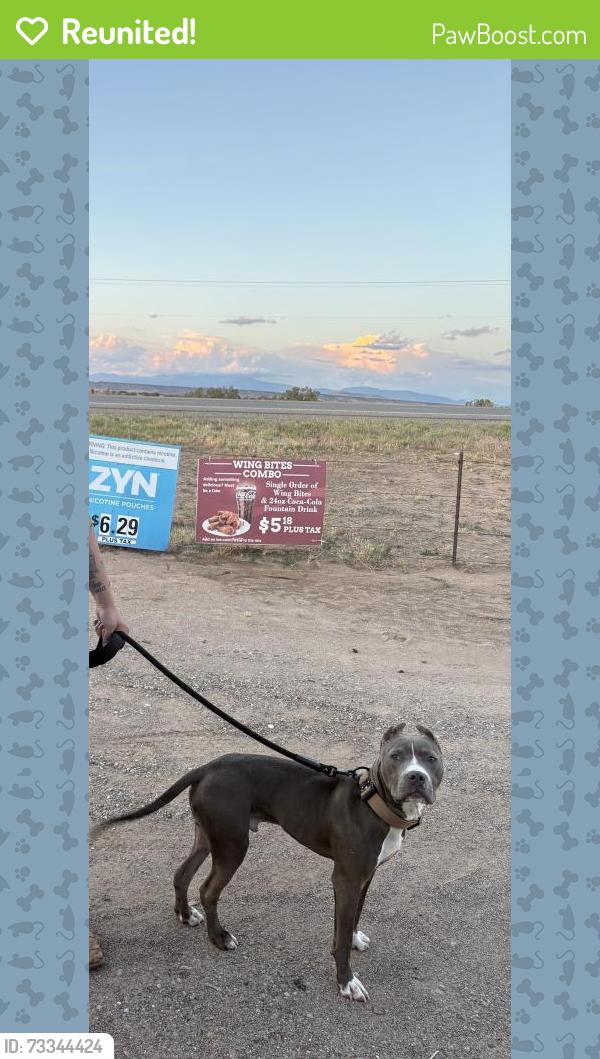 Reunited Male Dog last seen Ojito Ave and Cristo Ave, Mesquite, NM 88048