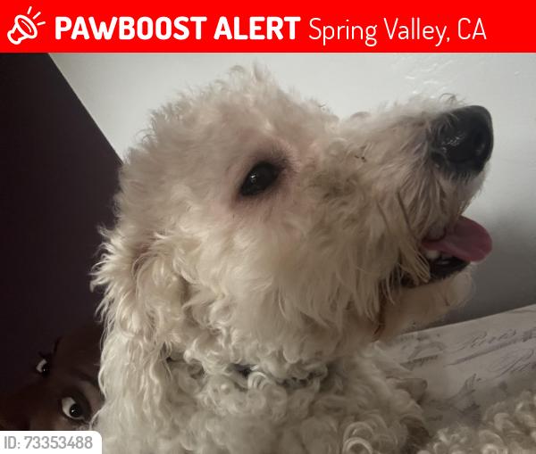 Lost Male Dog last seen Near hse, park, by Ross or Dds, Spring Valley, CA 91977