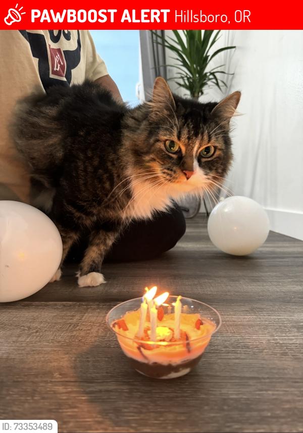 Lost Male Cat last seen Near se 32nd ave Hillsboro, Hillsboro, OR 97123
