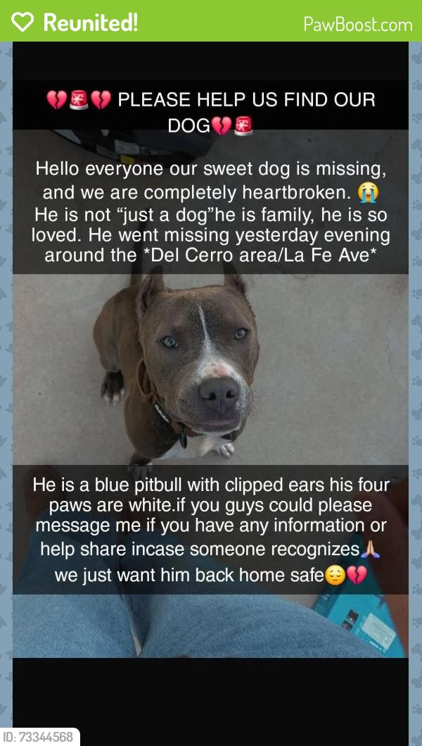 Reunited Male Dog last seen Plaza Ave, Vado, NM 88048