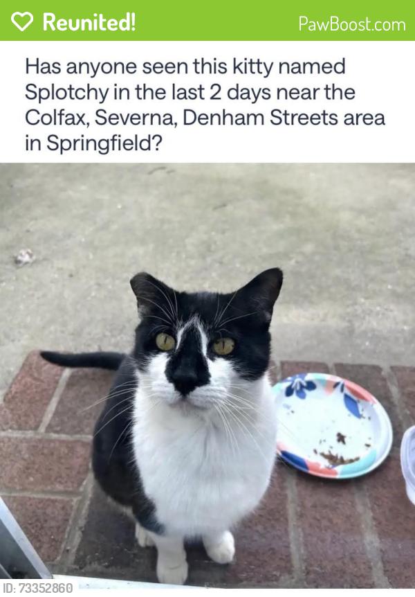 Reunited Unknown Cat last seen Colfax Rd, Springfield, NJ 07081, USA, Springfield, NJ 07081