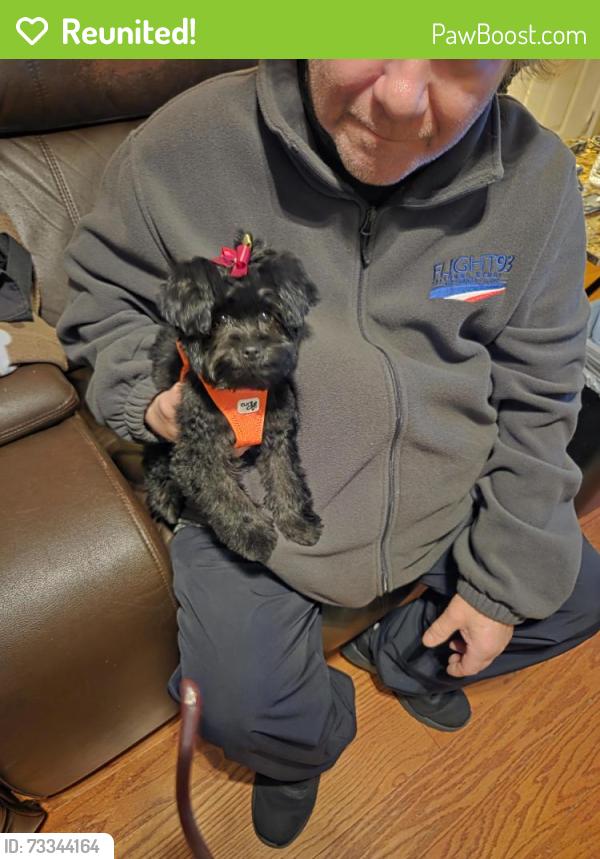 Reunited Female Dog last seen Near andover road, fairless hills,, Fairless Hills, PA 19030