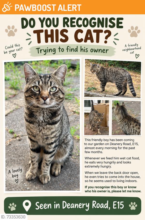Found/Stray Male Cat last seen Deanery Road, Greater London, England 