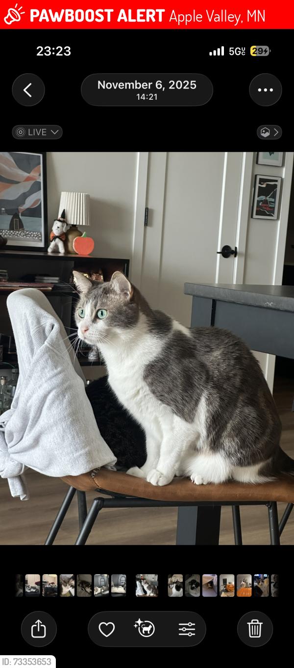 Lost Male Cat last seen Wooded Area behind 125th St W, Apple Valley, MN 55124