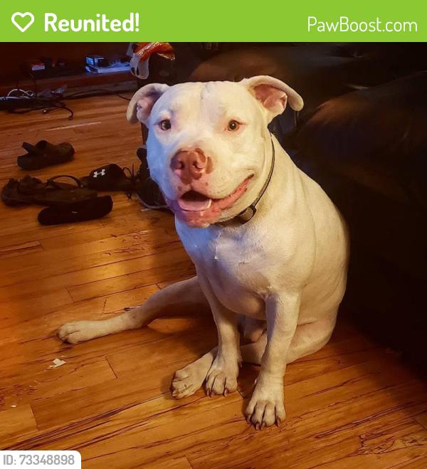 Reunited Male Dog last seen Near Ave 188 street, Surrey, BC V4N 6C9