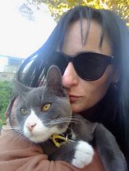 Lost Male Cat last seen Los Alisos Blvd. and Vallejo, Mission Viejo, CA 92691