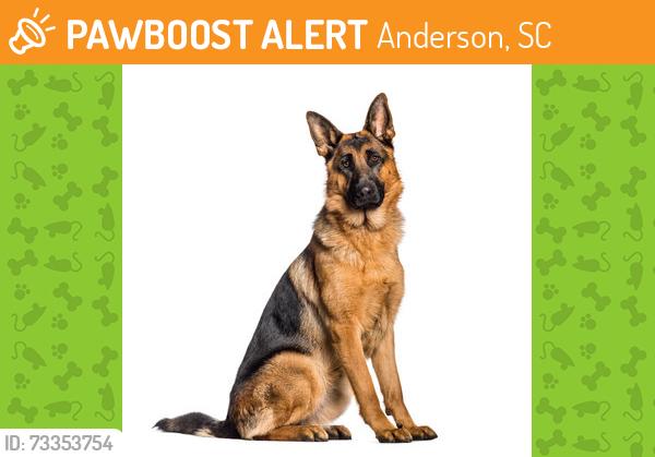Found/Stray Unknown Dog last seen By airport!, Anderson, SC 29622