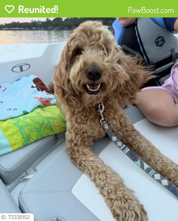 Reunited Female Dog last seen River bluff drive, Dunn, NC 28334