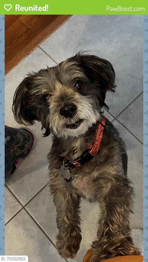 Reunited Female Dog last seen Stone bridge neighbor hood 4th and 58th, Vero Beach, FL 32968