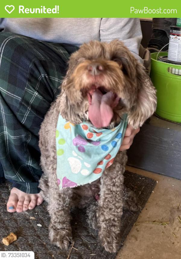 Reunited Male Dog last seen 146th and Little Eagle Creek, Carmel, IN 46074