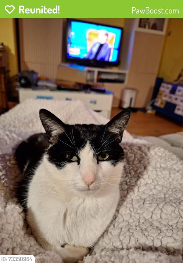 Reunited Female Cat last seen Long Acre/East Dundry Roads, , England BS14
