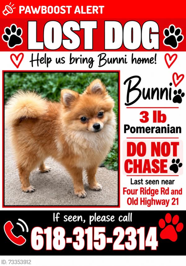 Lost Female Dog last seen Carrow’s Market, Imperial Township, MO 63052