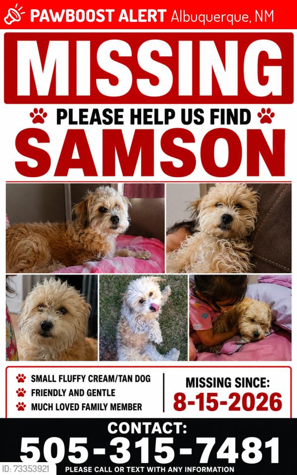 Lost Male Dog last seen 98th street and Dennis Chavez, Albuquerque, NM 87121