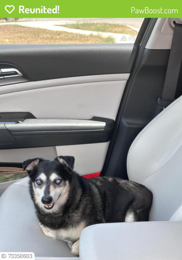 Reunited Male Dog last seen Grace church newbranfuls, Guadalupe County, TX 78130