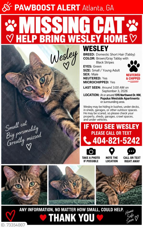 Lost Male Cat last seen Mango Cir nw & northwest dr nw, Atlanta, GA 30318