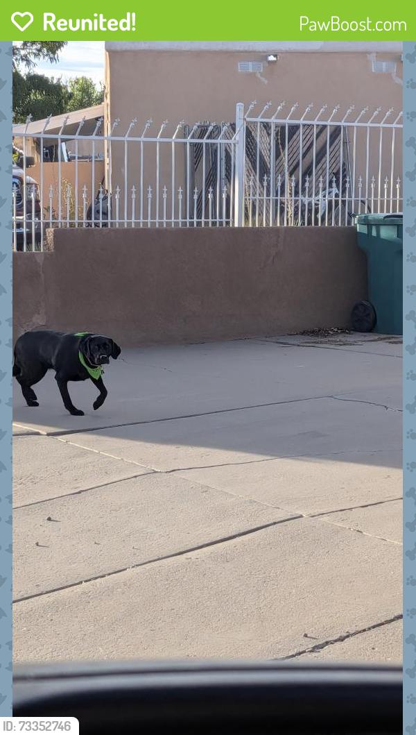 Reunited Unknown Dog last seen Golf Course and Irving, Paradise Hills Civic, NM 87114