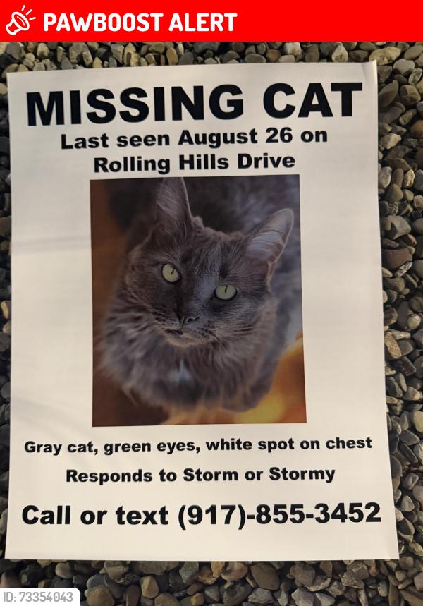 Lost Female Cat last seen 209/Resica falls/tomx/wawa/CCP, East Stroudsburg, PA 18302