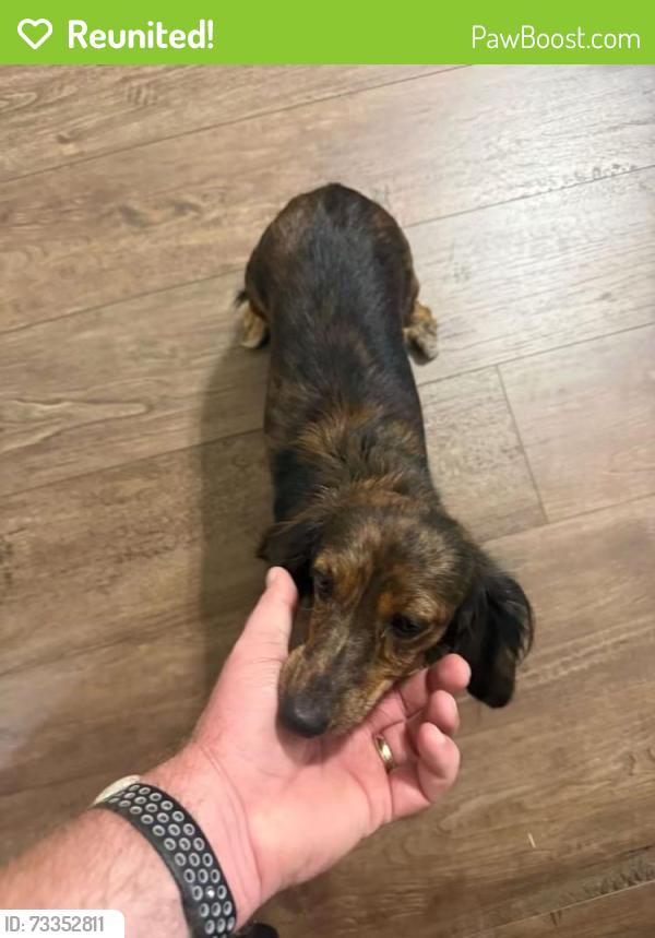 Reunited Female Dog last seen Nearest cross street is S Nolan River, Cleburne, TX 76033