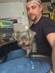 Found/Stray Male Dog last seen Red Oak Campus Loop 9, Red Oak, TX 75146