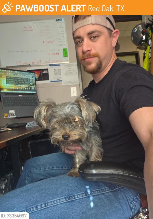 Found/Stray Male Dog last seen Red Oak Campus Loop 9, Red Oak, TX 75146