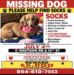 Lost Female Dog last seen Highland Ranches community, Weston, FL 33326
