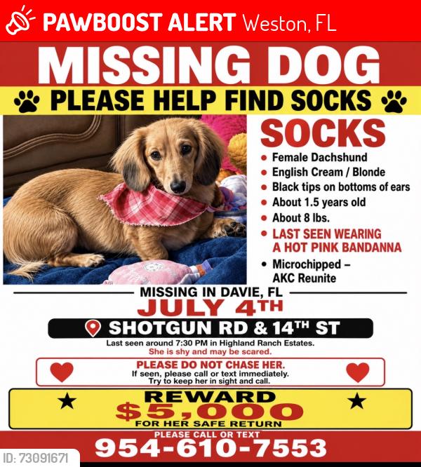 Lost Female Dog last seen Highland Ranches community, Weston, FL 33326