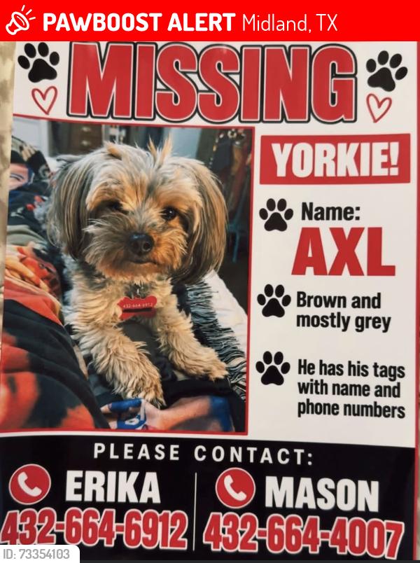 Lost Male Dog last seen West historic district and W Indiana, Midland, TX 79701