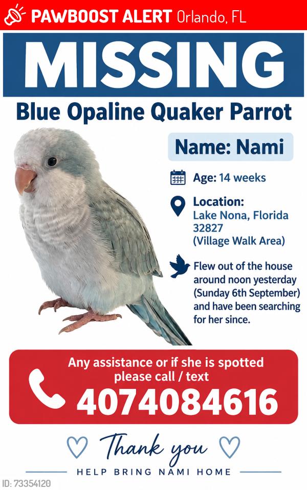 Lost Unknown Bird last seen Village Walk, Orlando, FL 32827, Orlando, FL 32827