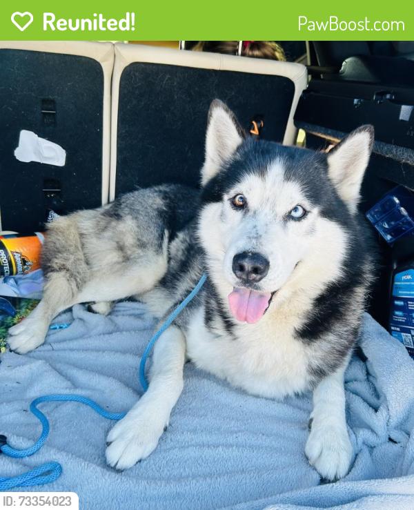 Reunited Male Dog last seen Near S East St, Lebanon, OH 45036