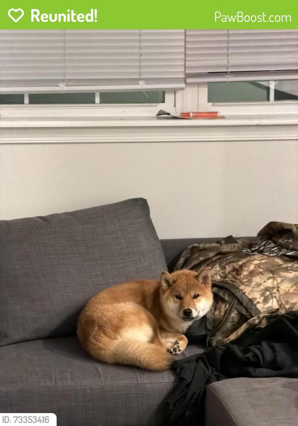 Reunited Male Dog last seen Army Navy Dr, 28th St, Arlington, VA 22202
