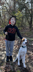 Lost Male Dog last seen Ni River Midd School, Spotsylvania Courthouse, VA 22553