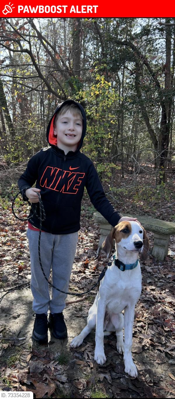 Lost Male Dog last seen Ni River Midd School, Spotsylvania Courthouse, VA 22553