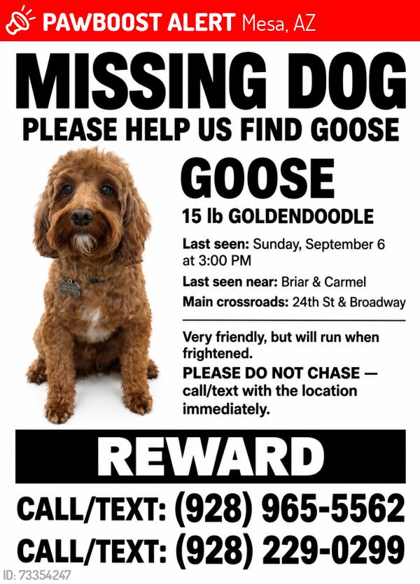 Lost Male Dog last seen Gilbert & Broadway, Mesa, AZ 85204