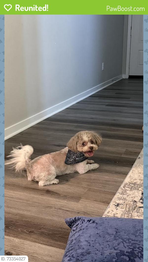 Reunited Male Dog last seen Near Cookhouse Ln, Menifee, CA 92584, USA, Menifee, CA 92584