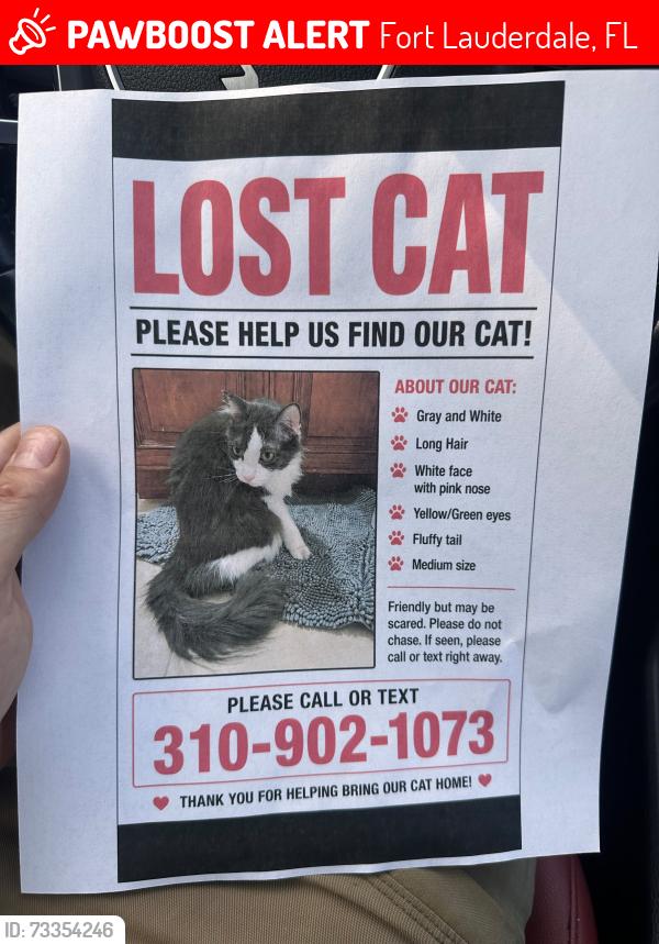 Lost Male Cat last seen Near 1723 SW 23RD ST, Fort Lauderdale, FL 33315