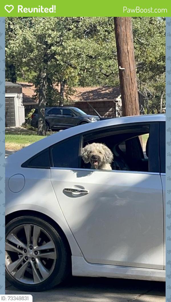 Reunited Male Dog last seen Golf course, Fort Worth, TX 76112