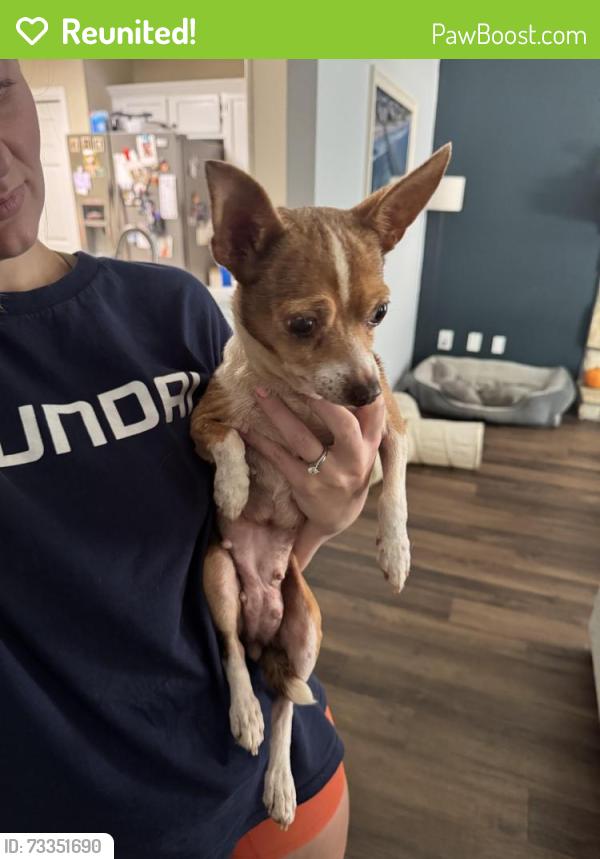 Reunited Female Dog last seen Silver Comet Trail, Dallas, GA 30141