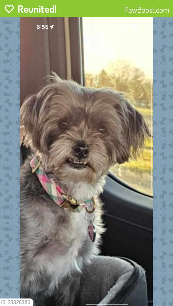 Reunited Female Dog last seen Custer and central park blvd, Monroe, MI 48162
