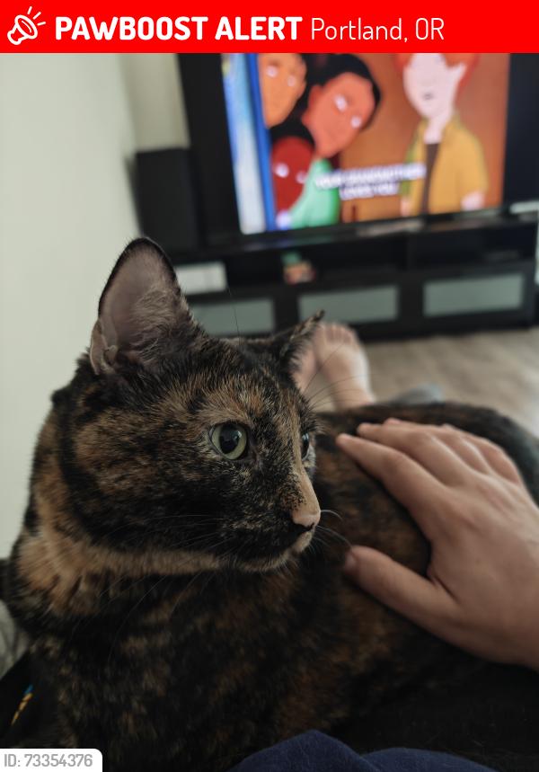 Lost Female Cat last seen 122nd and Harold St, Portland, OR 97266