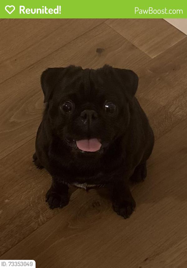 Reunited Male Dog last seen Beachway ramp, New Smyrna Beach, FL 32169