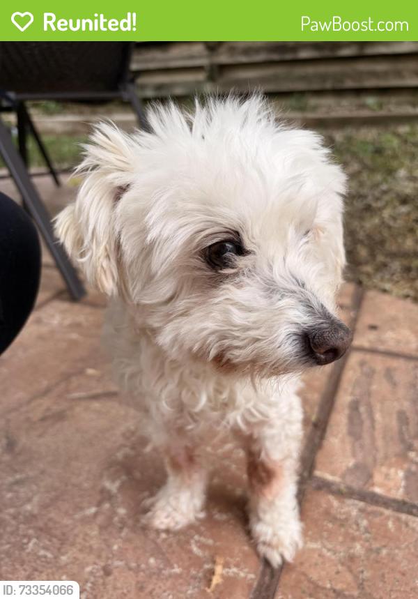 Reunited Male Dog last seen Peakview Elementary, Centennial, CO 80015