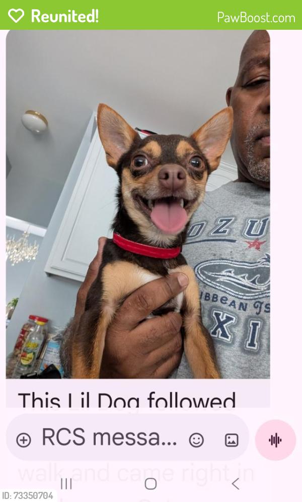 Reunited Male Dog last seen Clarks Fork and Big Sandy, Raleigh, NC 27616
