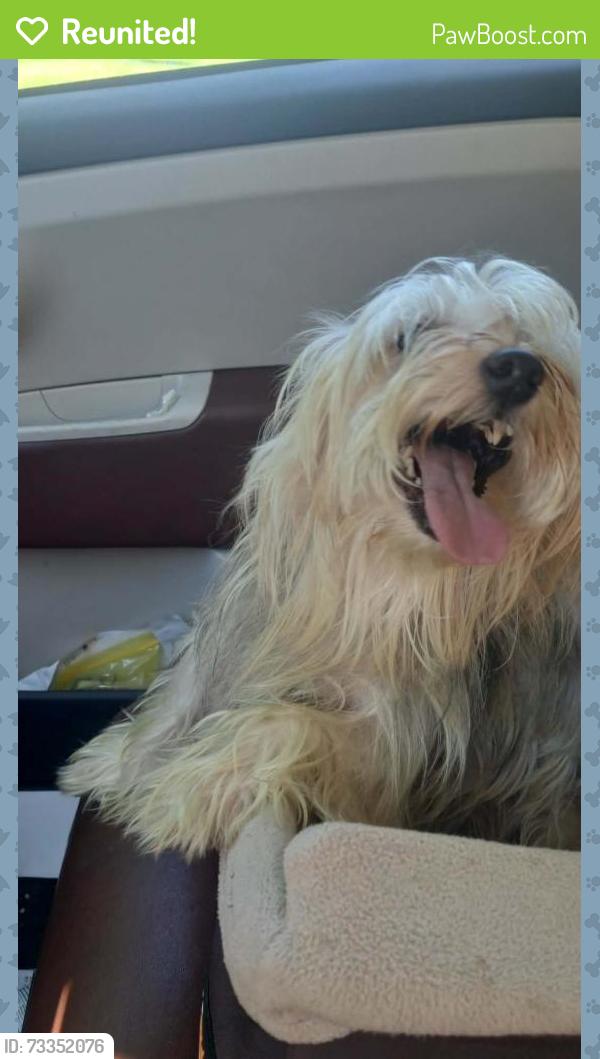 Reunited Unknown Dog last seen Delaware ave troy, Troy, NY 12180