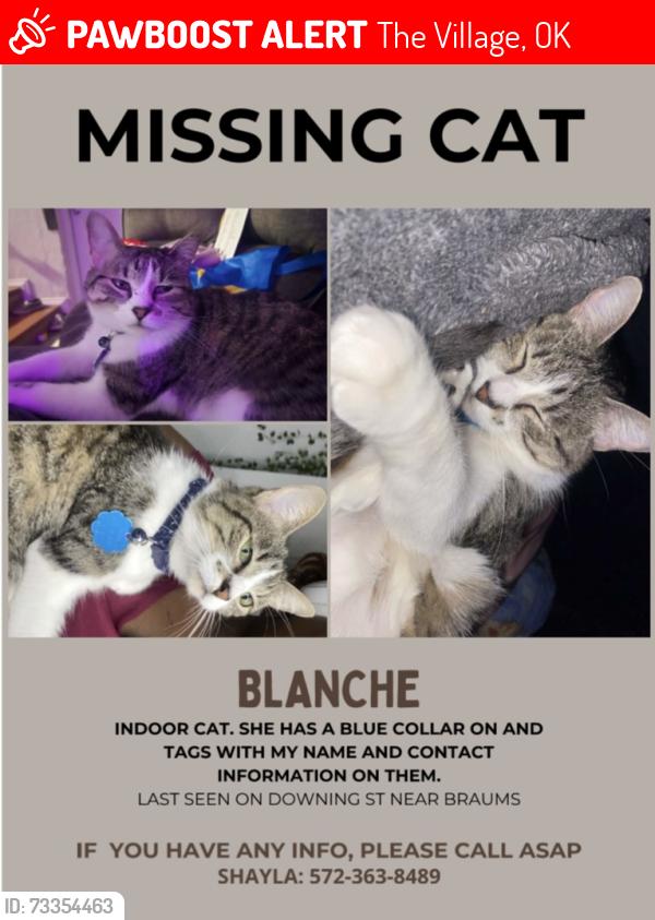 Lost Female Cat last seen Downing St, The Village, OK 73120
