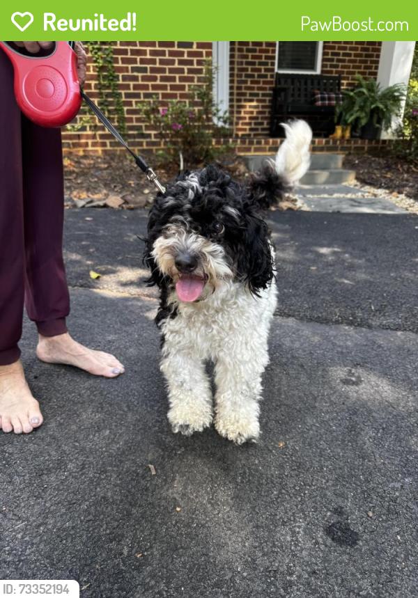Reunited Female Dog last seen Lagovista Ct and Riverbend Rd, Great Falls, VA 22066