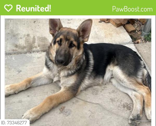 Reunited Male Dog last seen Washington n E 73 rd, Denver, CO 80229